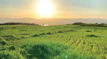 تراجع 3 درجات.. خرائط الطقس تكشف مستجدات البرودة وفرص الأمطار بالمحافظات